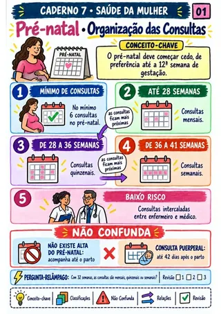 Mapa real: Saúde da Mulher